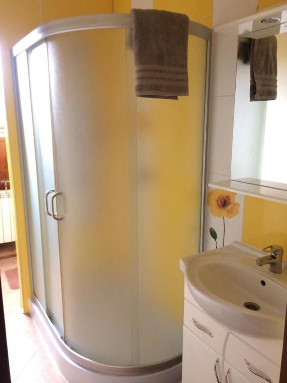 Гостевой дом Guest house on Ivana Franka Novyye Petrovtsy-17