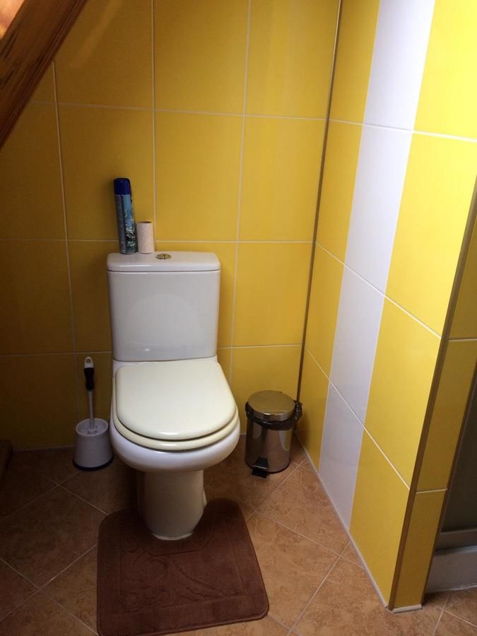 Гостевой дом Guest house on Ivana Franka Novyye Petrovtsy